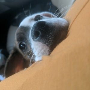 Meet your Posher, Selena